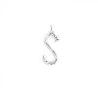 Charm Unode50 in Silver CHA0045MTLOOOOU - CHA0045MTLOOOOU